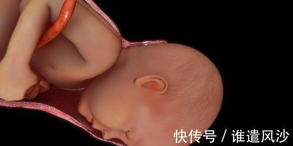 准妈妈|宝宝在肚子里这个月长得最快，大脑也开始发育，准妈错过就晚了！