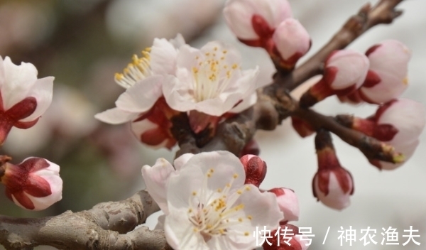 大潮|未来一周，幸运星降临，抓住好运，轻松赚钱，桃花大潮，福气大增