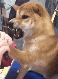 |搞笑GIF：来来来，师傅抽根烟！你跟我说说你是怎么开上去的？