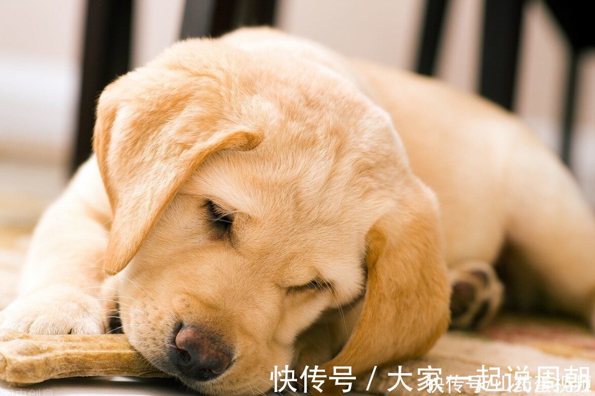 缺点|为什么很多人不想装地暖？内行人总结了6大缺点，住过的人都懂