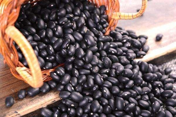 桂圆肉|补血最佳食材前十名，7大补血食谱，轻松快速养红你的脸蛋