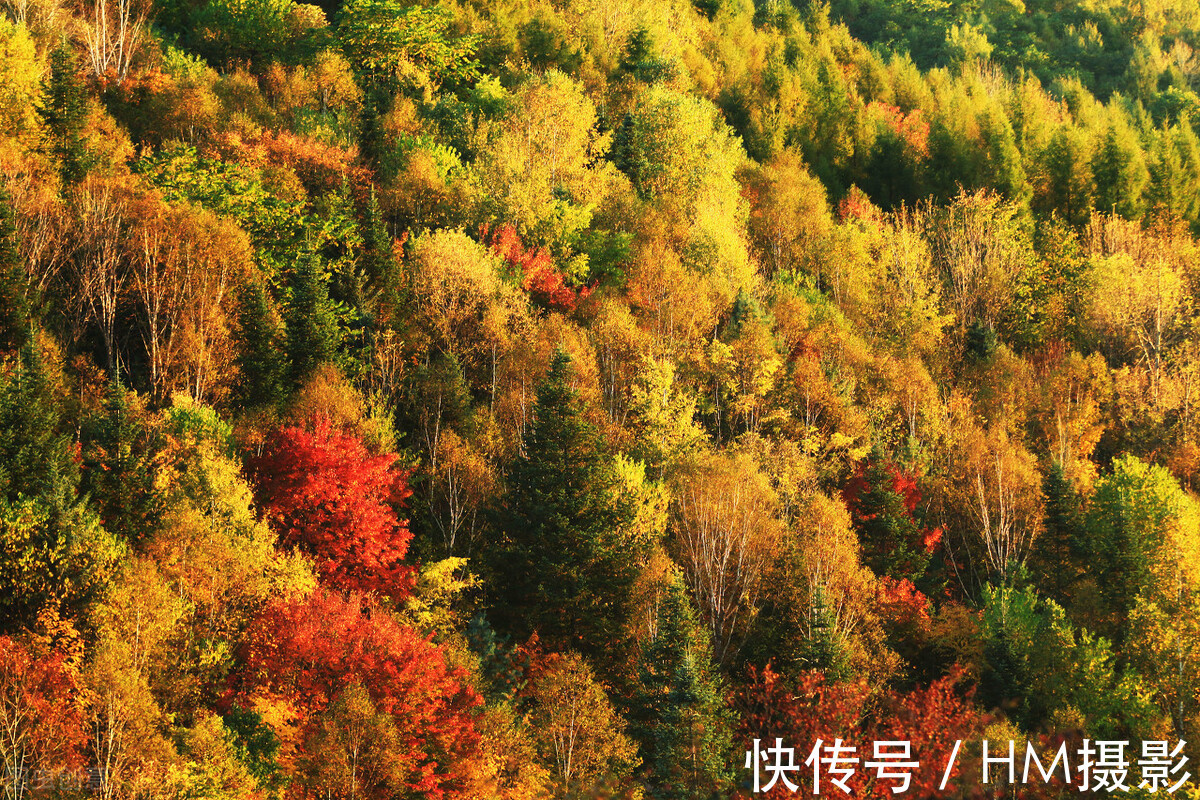 长白山|金秋九月，国内最美六大景区你去过一个都是大神