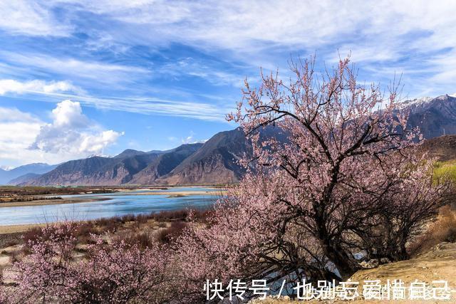 天后|12天后，花开花谢，旧爱归来，拒绝前任，展望未来，迎接新欢