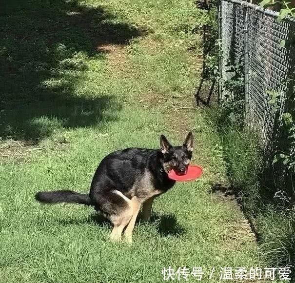 |幽默笑话:乘电梯下楼,遇见一个时尚美女,喷着……