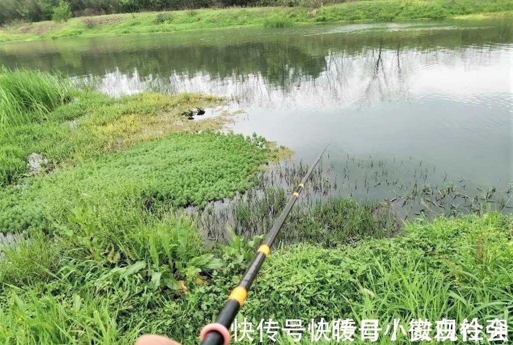 野钓时调四钓二与调平钓二，哪种调漂方法更好？