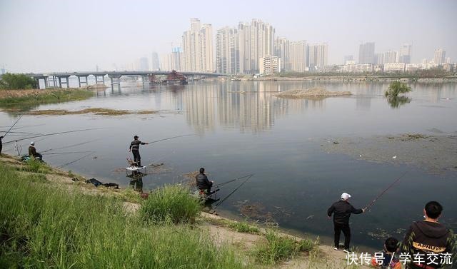 作钓|秋末初冬钓鲫鱼,做好这五点,就算新手也一样能够渔获满满!