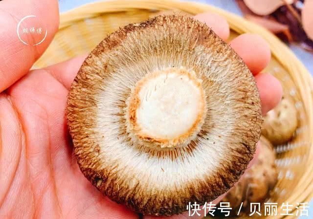 买香菇时，碰到这4种香菇我扭头就走，老板说这人是真正的行家