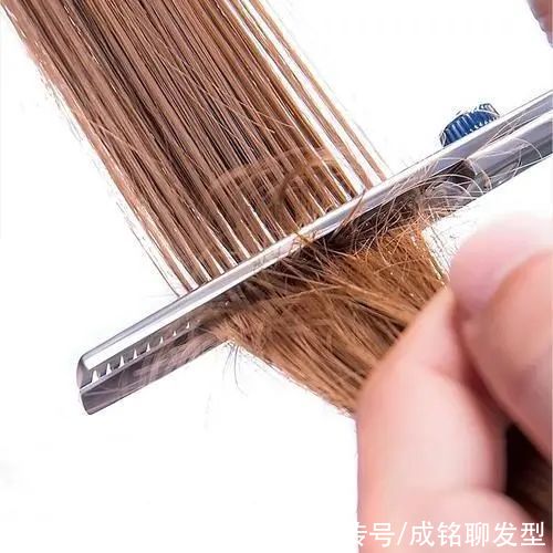 理发|剪发时必须“打薄”“打碎”吗？理发师专业解读：发型发量说了算