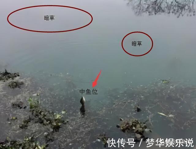 长竿|冬季野钓多久能发窝?别再傻傻等鱼来了,要学会主动出击