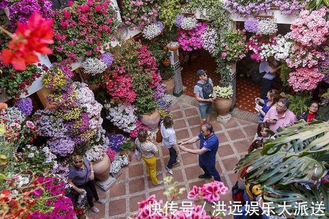 生根|4种花现在扦插,枝条扔土里“生根快”,当年开花,变成养花大户