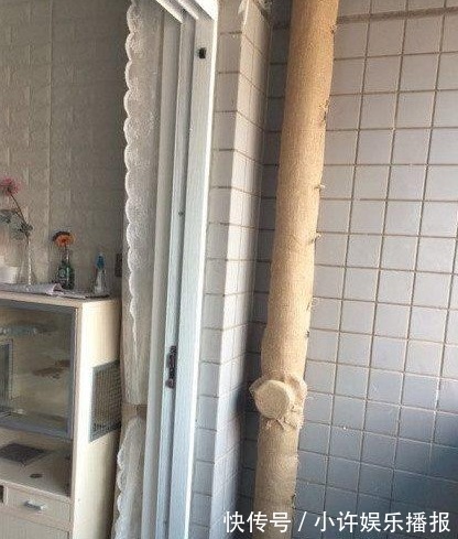 主卧室|老婆花200块在阳台包了根管道,一条破旧的麻袋,却成就了风景角
