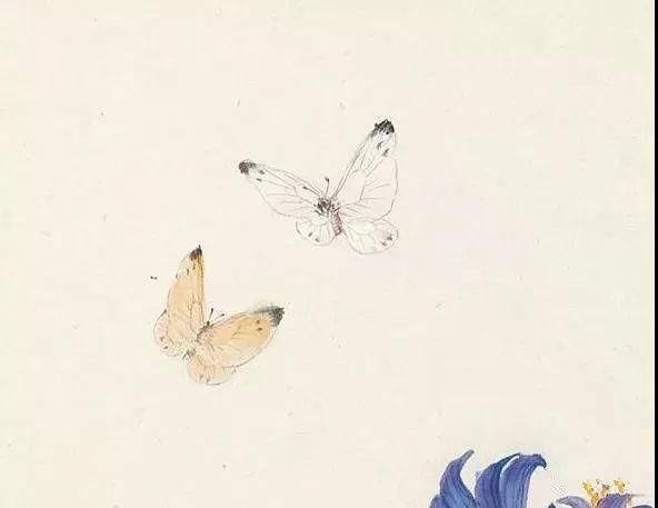 俞致贞|收藏!国画蝴蝶纸上来感觉蝴蝶在动,太逼真了!