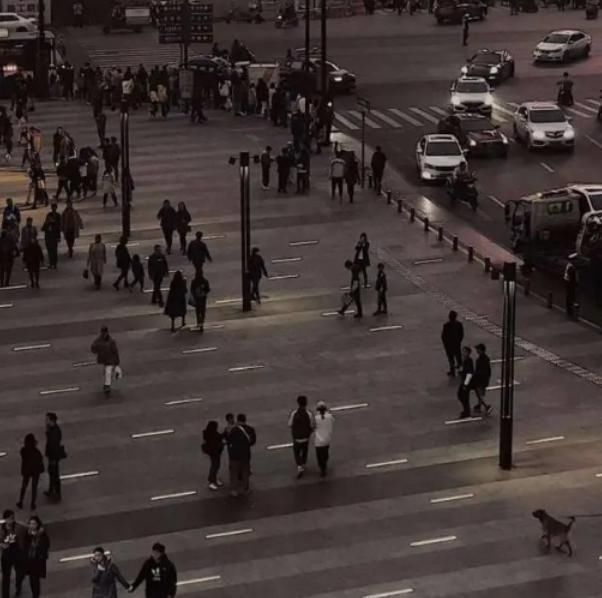 le12句“超好哭”的英文个签抑郁症的药,真的好贵啊……