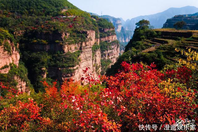 太行山|河南林州，太行山村的诗意秋色，万山红遍村民晒秋忙