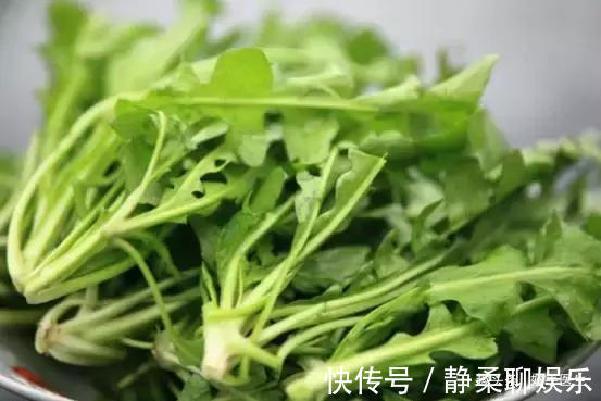 香椿|蒲公英、香椿、榆树钱、白蒿……一种野菜治一种病