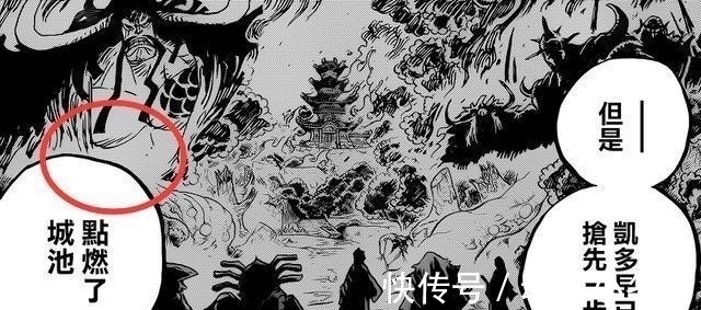 动机|海贼王 破案了! 尾田公布凯多腹部伤疤来历, 网友 果然是他砍的