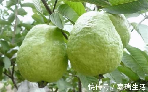 食物|对身体最好的3种食物,坚持吃一些,排毒杀菌,呵护肌肤!