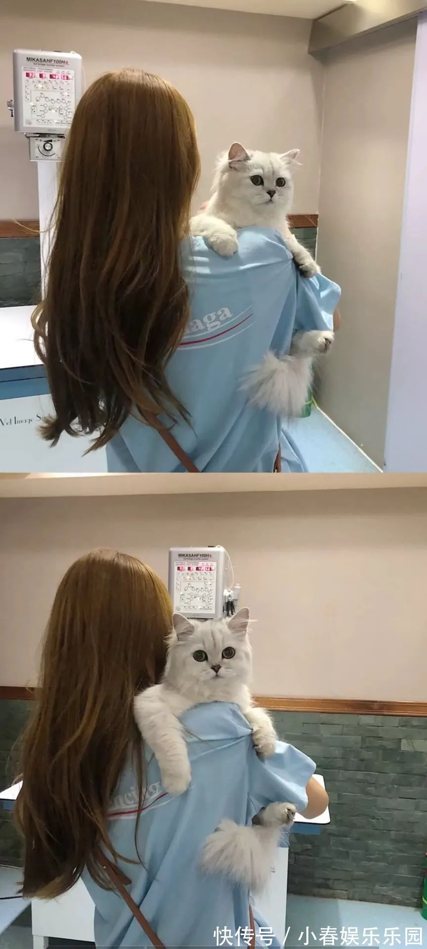 小姐姐壁纸丨一声梧叶一声秋,一点芭蕉一点愁,三更归梦三后