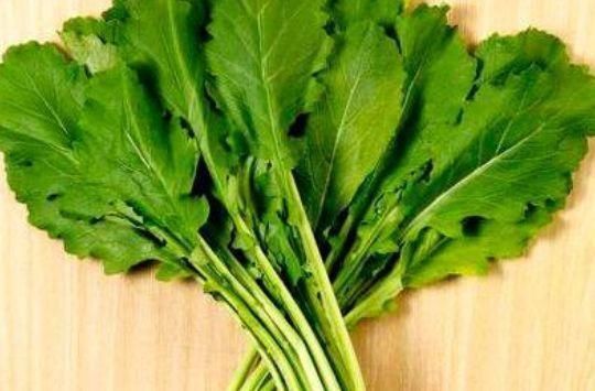 南瓜藤|女性想要皮肤好,不妨多吃三物,美容养生,促进排毒,越吃越美