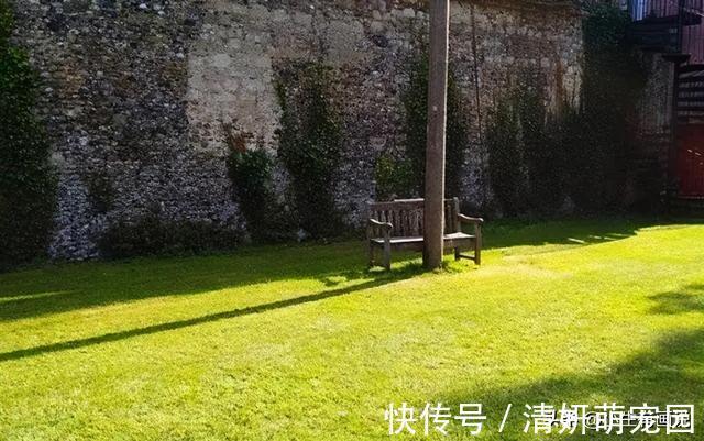 mba$这些“反人类”设计,想法刁钻,网友:看着让人费解