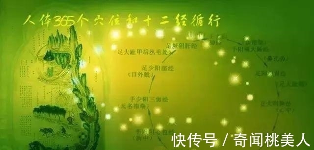 雷公|古人是如何发现经络的？