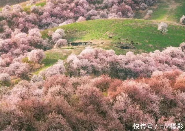 南疆是一种病，不去治不好；北疆是一种瘾，去过戒不掉