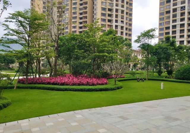 讲讲价|二手房真的不好卖吗便宜了20万别急着高兴,买家讲讲价降30万