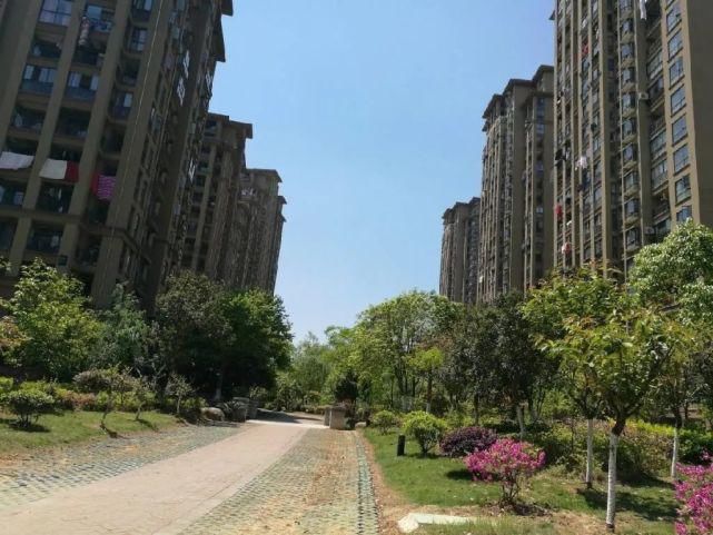 二手房|闲林业主急降60万！闲林二手房价格要大跳水？！