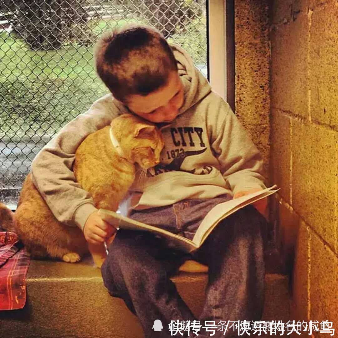 |幽默笑话:要不是我最后发现了老爸藏在柜子上的私房钱,我可能会感动一辈子!