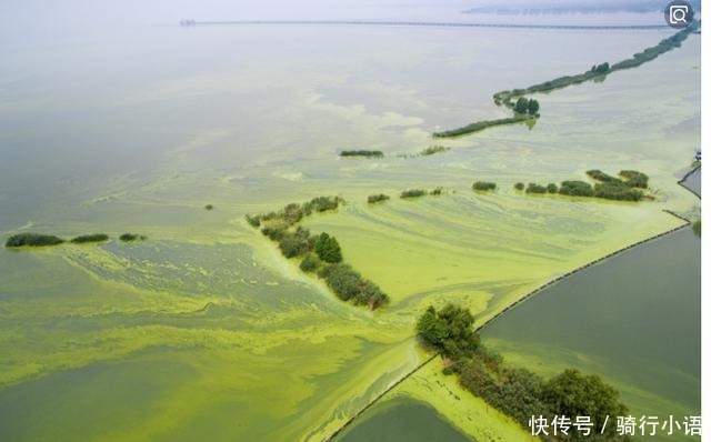 生病|鄱阳湖、洞庭湖、太湖中国最大的三个淡水湖“生病”了