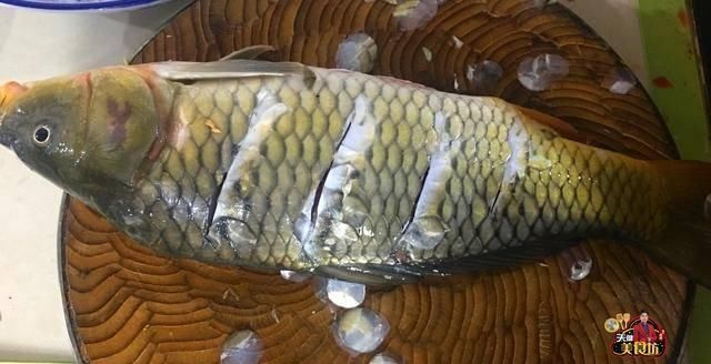 鲤鱼|红烧鲤鱼简单的家庭做法,学会这一招,鱼肉鲜香嫩滑无腥味