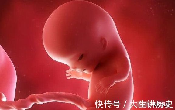 发育|为什么现在“胎停”想象越来越多?也可能是和3个“原因”有关