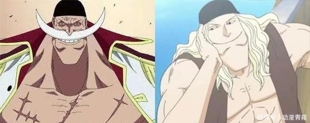 大帅哥|海贼王: 被“岁月摧残”的5位型男! 年轻的黄猿比山治还帅