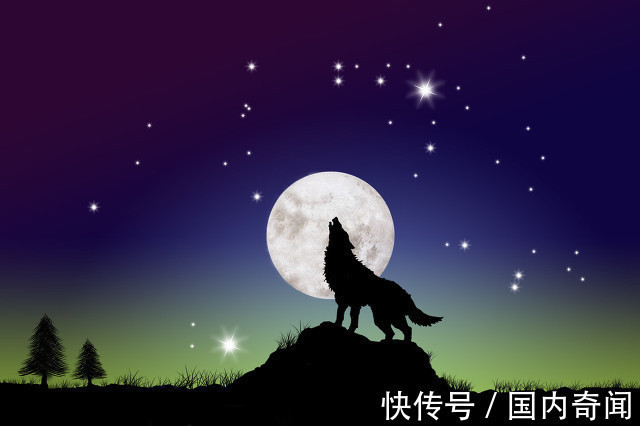 遇害$清朝奇案,猎夫上山打猎回家妻子遇害,凶手是谁县令妙计破案