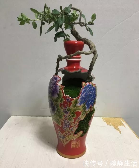 花盆|花盆不用买，变废为宝做一个，比买的还好看，分分钟惊艳朋友圈