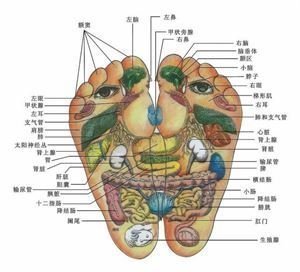 阳气不足|热水袋也是养生法宝！简单5步，把阳气吸进身体里，温暖过寒冬！