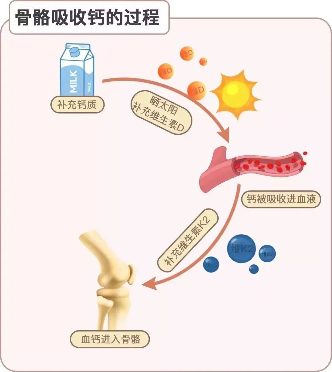 骨质疏松症|“肌”不可失！老年人跌倒的“幕后黑手”原来是TA！