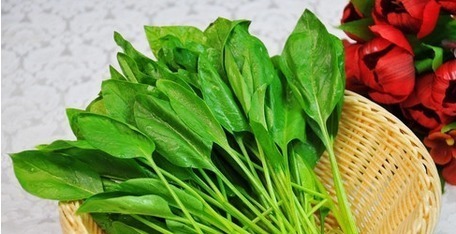 便血|得了痔疮不要怕,菠菜加它这样吃,消肉球,止便血,赶走老痔疮