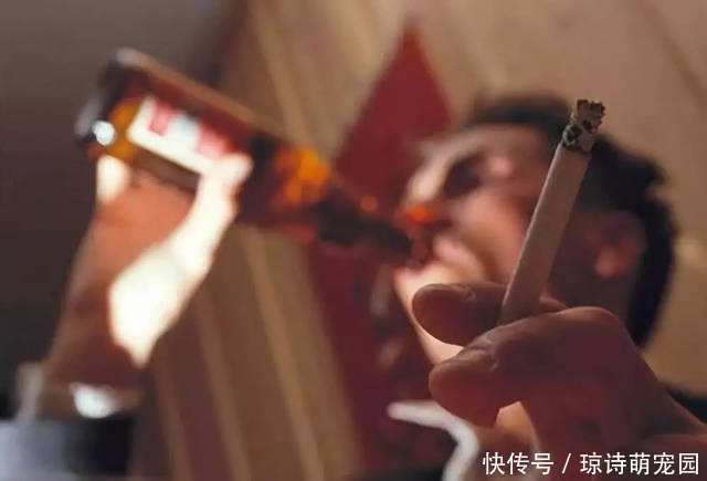 男人需要“养精”,平时5件事做好,重新做回真男人!