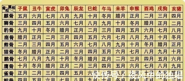 豹骨|从农历生辰观骨相，麒骨天生富贵、狮骨自力更生、豹骨聪明伶俐