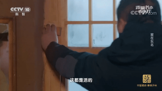 玉门关 不愧是央视,拍的“大语文”综艺简直一流