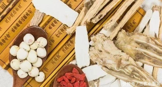 阴阳|肾气不足, 可以试试这些中药, 但是要分清阴阳