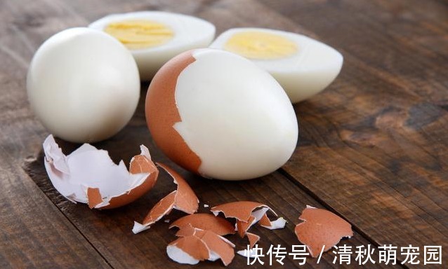 身高|转骨趁秋天,此时想要孩子身高窜一窜,5种食物记得常给孩子吃