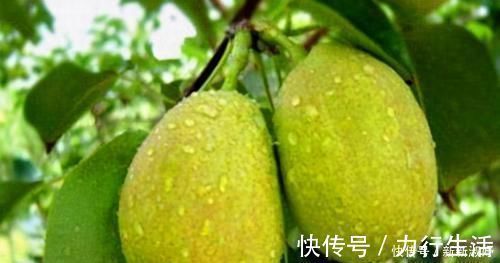 延缓衰老|每天晚上吃3种食物,营养丰富、延缓衰老,好吃又不贵!