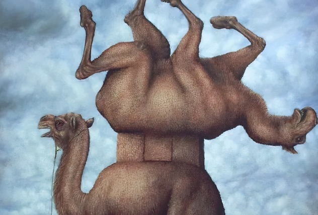 动物们&胆小谨点,插画师笔下的诡异动物看完一秒清醒!