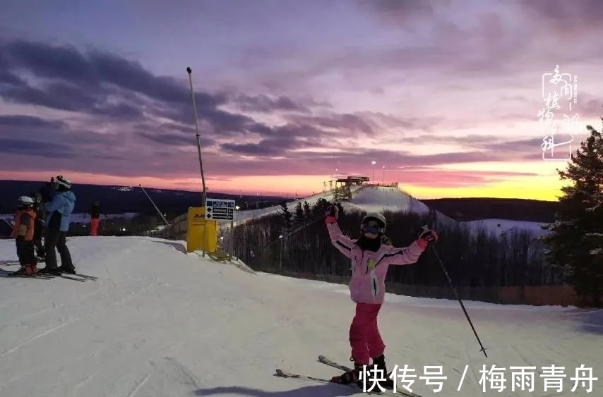 爱上多肉:何须浅碧轻红,自是花中一流!