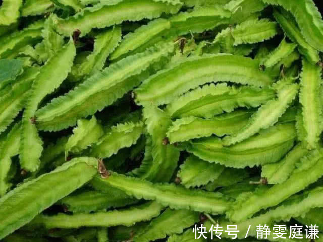 清肠|此菜比阿胶还养人,刮脂又清肠,女性常吃,抚平皱纹淡化斑点!