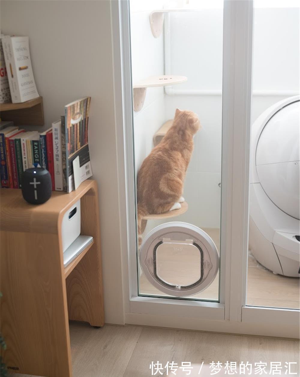 梳妆台|90后夫妻的1室1厅婚房：41㎡住下2个人3只猫，入住半年生活太惬意