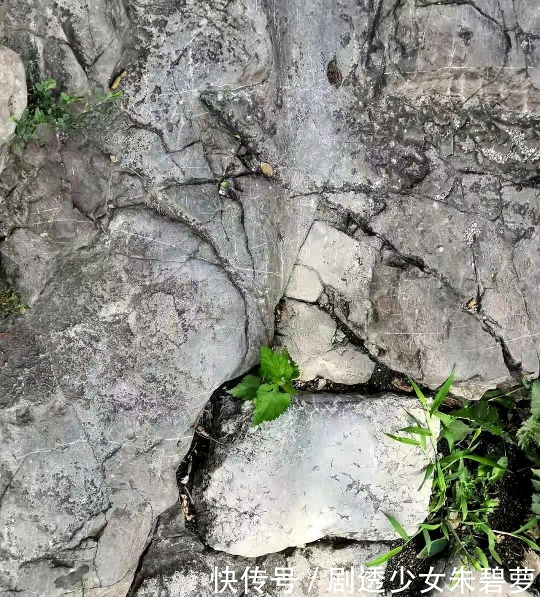 从齐鲁古道到青州古道,山东淄博一地方,留下一串2600年美丽传说