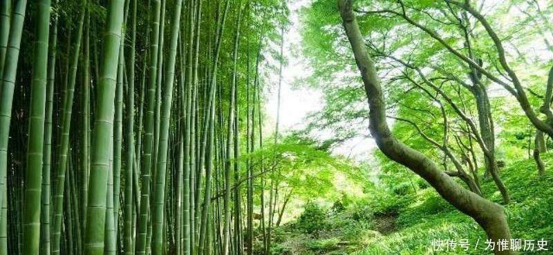 作品|范成大最经典的一首六言绝句,同样也被低估了,通篇美得令人心醉